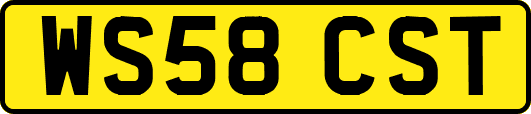 WS58CST