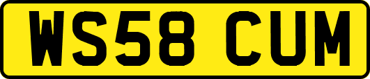WS58CUM