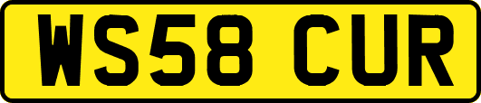 WS58CUR