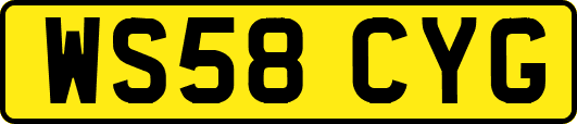 WS58CYG