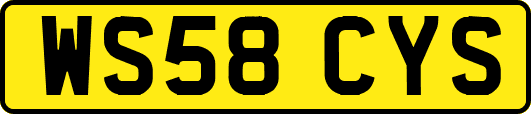 WS58CYS