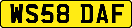 WS58DAF