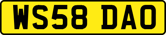 WS58DAO