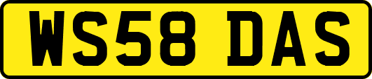 WS58DAS