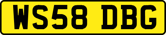 WS58DBG