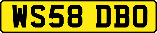 WS58DBO
