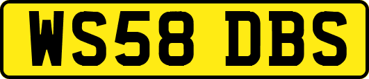 WS58DBS