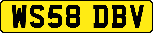 WS58DBV