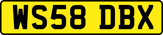 WS58DBX