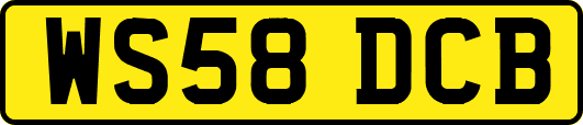 WS58DCB