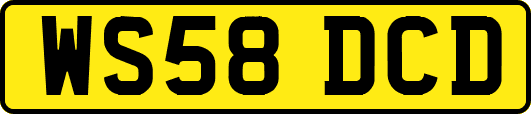 WS58DCD