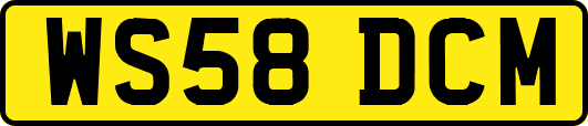 WS58DCM