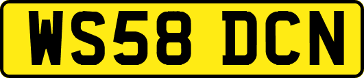 WS58DCN