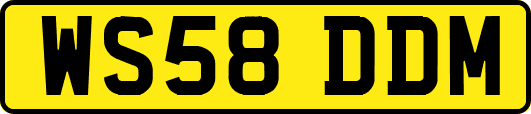 WS58DDM