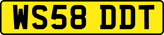 WS58DDT
