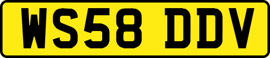 WS58DDV