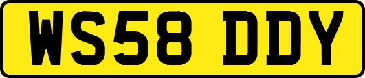 WS58DDY