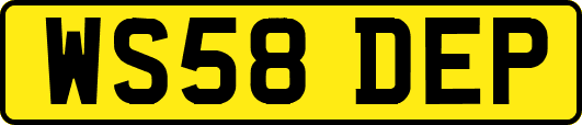 WS58DEP