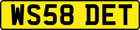 WS58DET