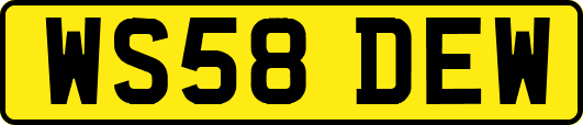 WS58DEW
