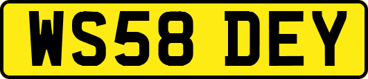 WS58DEY