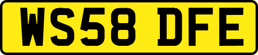 WS58DFE