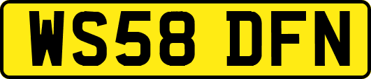 WS58DFN