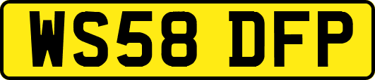 WS58DFP