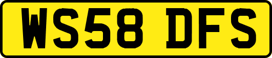 WS58DFS