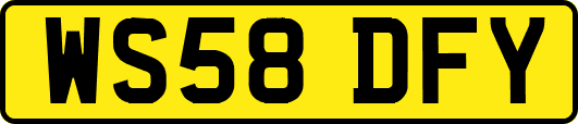 WS58DFY
