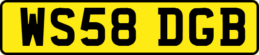 WS58DGB