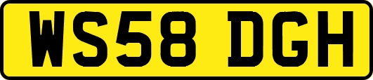 WS58DGH