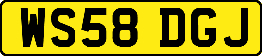 WS58DGJ