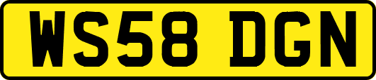WS58DGN