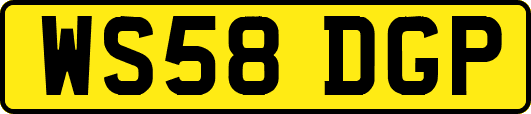 WS58DGP
