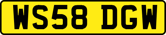 WS58DGW