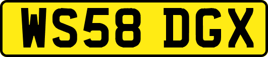 WS58DGX