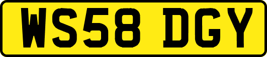 WS58DGY
