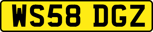 WS58DGZ