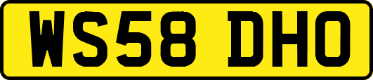 WS58DHO