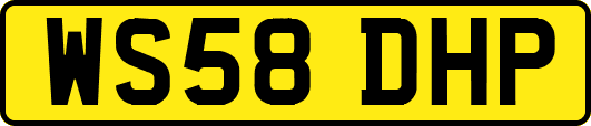 WS58DHP