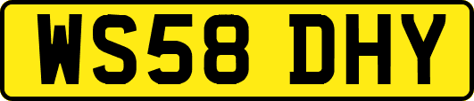 WS58DHY