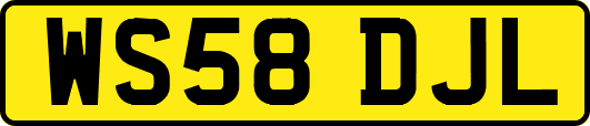 WS58DJL