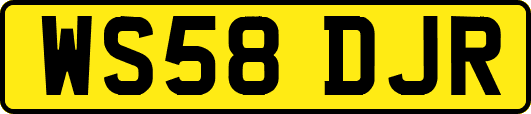 WS58DJR