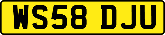 WS58DJU