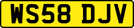 WS58DJV