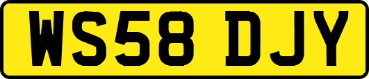 WS58DJY