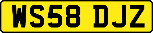 WS58DJZ