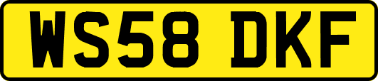 WS58DKF