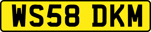 WS58DKM